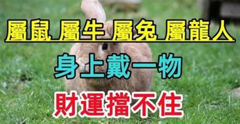 屬兔 佩戴|2024屬兔適合戴什麼？風水專家精選開運飾品全攻略